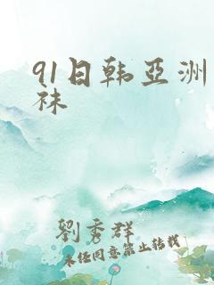 91日韩亚洲丝袜