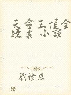 天命王侯金锋关晓柔 小说 天命王侯金锋关晓柔 小说