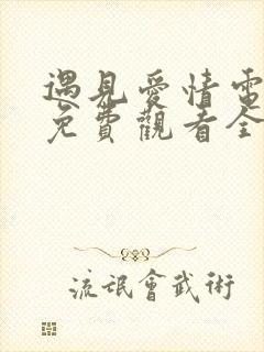 遇见爱情电视剧免费观看全集