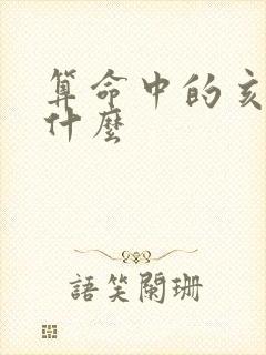 算命中的亥运是什么