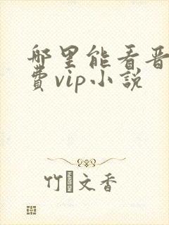 哪里能看晋江免费vip小说 哪里能看晋江免费vip小说