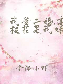 我爸二婚,高冷校花是我妹一口气看完
