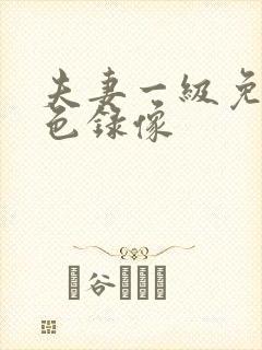 夫妻一级免费黄色录像