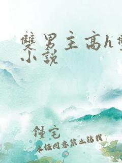 双男主高h双性小说