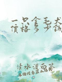 一只金毛犬幼犬价格多少钱
