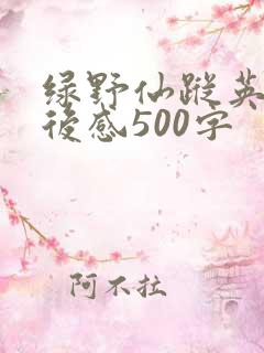 绿野仙踪英语读后感500字