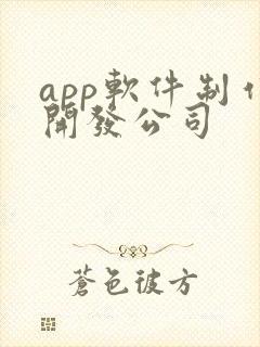 app软件制作开发公司