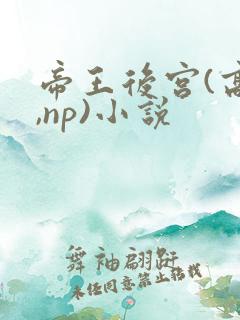 帝王后宫(高h,np)小说