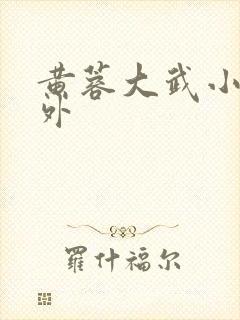 黄蓉大武小武番外
