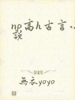 np高h古言小说