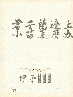 君子兰边上长出小苗怎么办