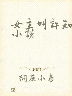 女主叫许知夏的小说