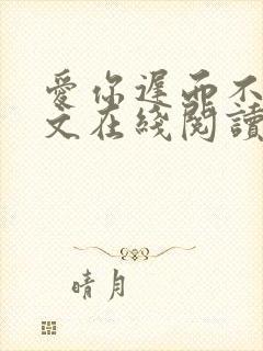 爱你迟而不晚全文在线阅读