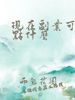 现在副业可以做点什么