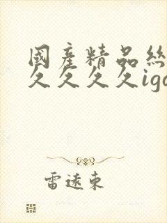 国产精品丝袜久久久久久igao