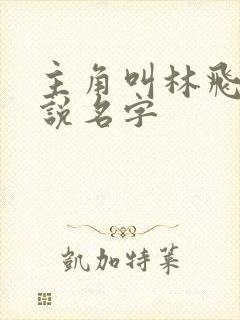 主角叫林飞的小说名字