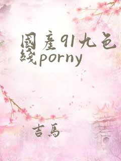 国产91九色在线porny