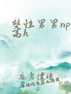 双性男男np肉高h