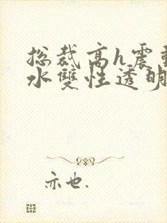 总裁高h震动喷水双性透明人女攻