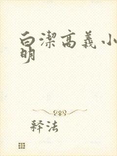 白洁高义小说李明