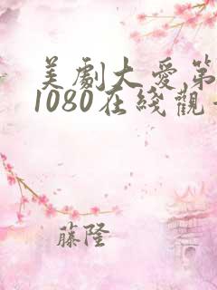 美剧大爱第一季1080在线观看免费