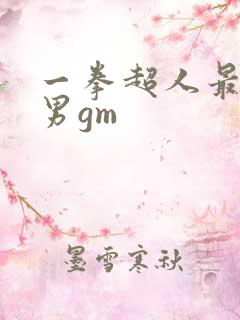 一拳超人最强之男gm