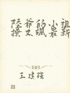 陆爷的小祖宗又撩又飒最新篇章