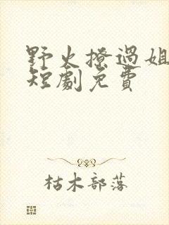 野火撩过姐姐心短剧免费