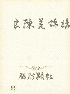 良陈美锦讲什么