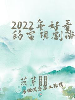 2022年好看的电视剧排行榜前十名