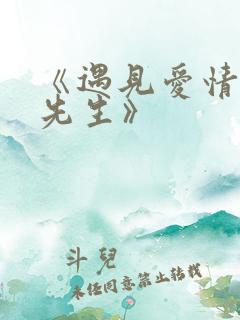 《遇见爱情的利先生》