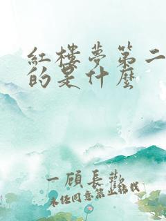 红楼梦第二集讲的是什么