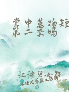 掌中万物短剧有第二季吗