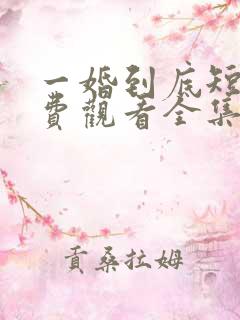 一婚到底短剧免费观看全集