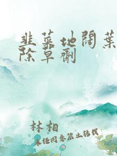 韭菜地阔叶杂草除草剂
