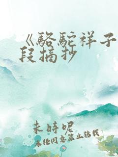 《骆驼祥子》好段摘抄