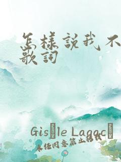 怎样说我不爱你歌词