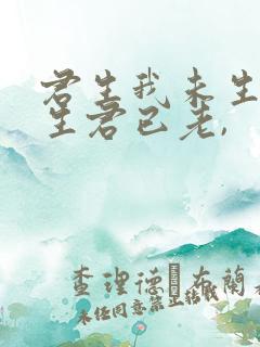 君生我未生,我生君已老,
