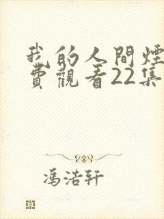 我的人间烟火免费观看22集