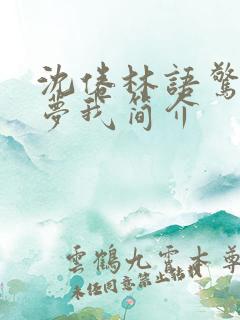 沈倦林语惊白日梦我简介