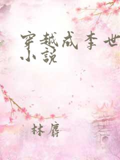 穿越成李世民的小说