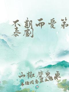 不期而爱第二季泰剧