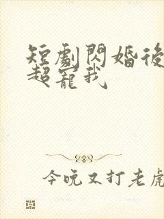 短剧闪婚后大叔超宠我