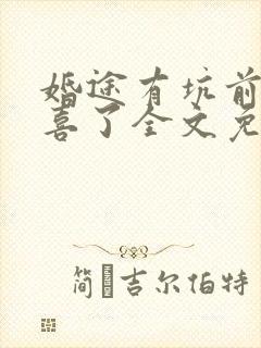 婚途有坑前妻有喜了全文免费