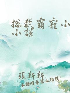 总裁霸宠小甜妻小说