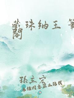 藏珠纳玉 笔趣阁