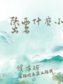 陕西什么小吃最出名