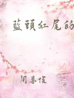 蓝头红尾的生肖