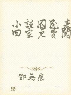小说国民老公带回家免费阅读