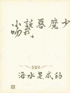 小说恶魔少爷别吻我